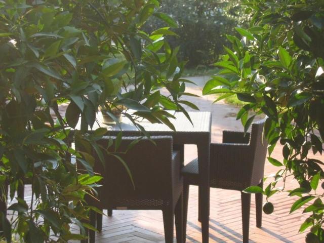 Al Melograno - Room & Breakfast โบโลญญา ภายนอก รูปภาพ